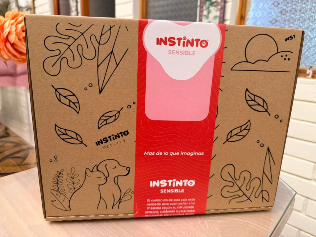 WhatsApp Image 2026-03-05 at 5.40.45 PM (1)